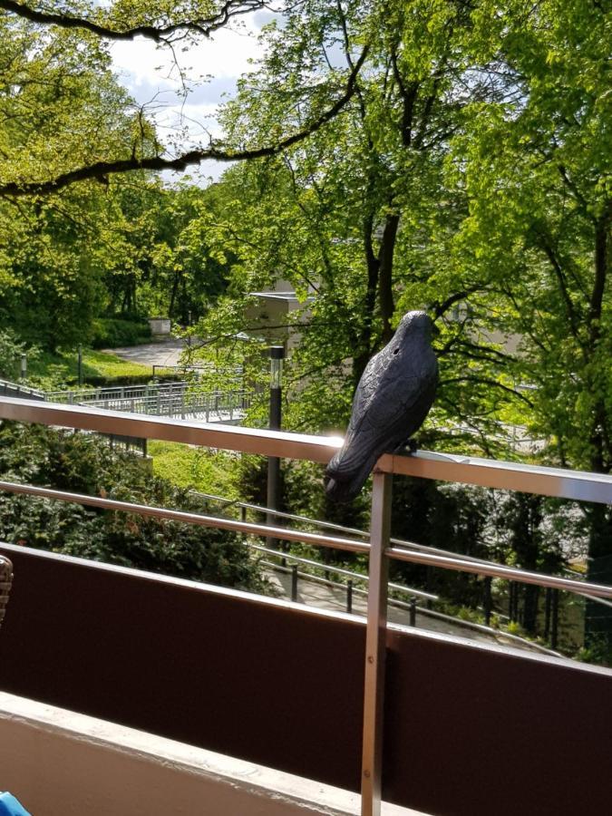 Appartementresidenz Am Kurpark Bad Salzuflen Exteriör bild